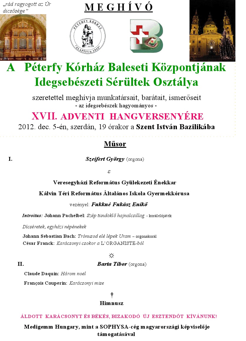 idegsebeszet_20121119145352_20.jpg