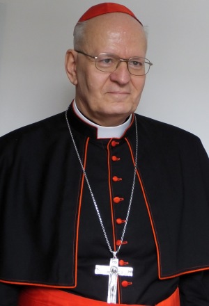 Dr. Erdő Péter bíboros, prímás, érsek